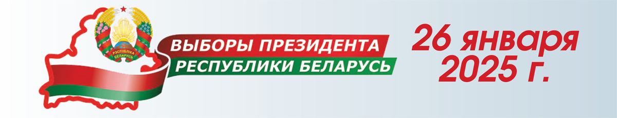 Выборы